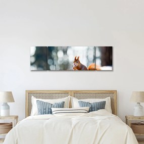 Obraz - Wiewiórka (170x50 cm)