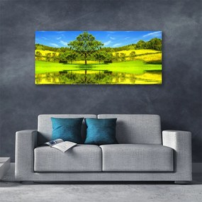 Zdjęcie na płótnie Samotne Drzewo na Polanie