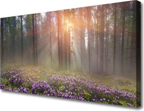 Obraz na płótnie Leśny Ogród w Rozkwicie