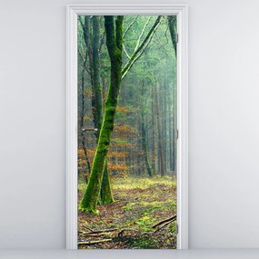 Fototapeta na drzwi - Las (95x205cm)