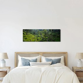 Obraz tarasów ryżowych Tegalalang, Bali (z zegarem) (90x30 cm)