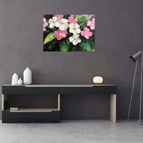 Obraz na szkle - Różowe i białe kwiaty (70x50 cm)