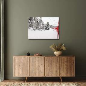 Obraz - Pociąg w zaśnieżonym krajobrazie (70x50 cm)