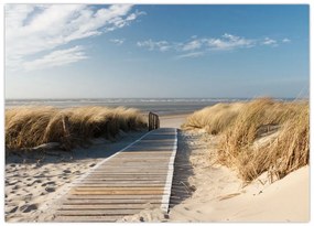 Obraz - Piaszczysta plaża na wyspie Langeoog, Niemcy (70x50 cm)