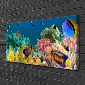 Obraz na płótnie Podwodny Świat Rafy