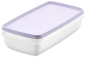 SmartStore Zestaw plastikowych pojemników Freezer2 szt., lewan dule, 1200 ml, 1200 ml