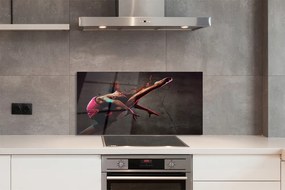 Szklany Panel Akrobatyczny Szpagat