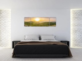 Obraz panoramiczny (170x50 cm)