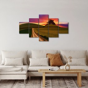 Obraz pola z zachodem słońca (125x70 cm)
