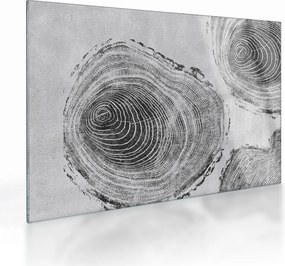 Obraz na szkle - Motyw drzewa (70x50 cm)