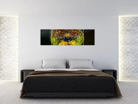 Szczegółowy obraz oczu owadów (170x50 cm)