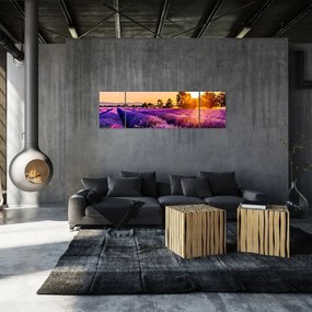 Obraz lawendowego pola (170x50 cm)