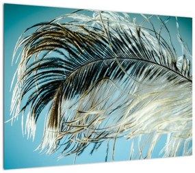 Obraz na szkle - pióro (70x50 cm)