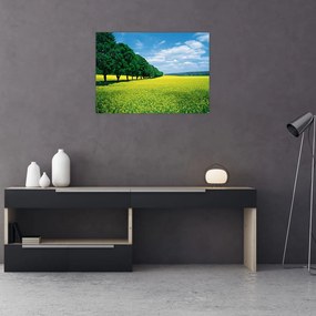 Obraz pola z aleją (70x50 cm)