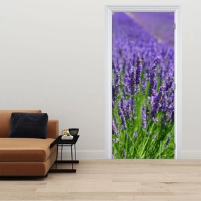 Fototapeta na drzwi - Lawenda (95x205cm)