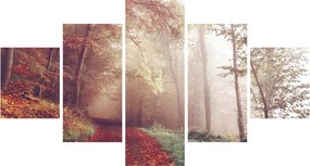 Obraz - Jesienny spacer po lesie (125x70 cm)