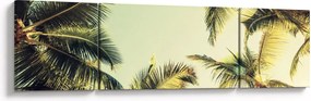 Obraz z palmami kokosowymi (170x50 cm)