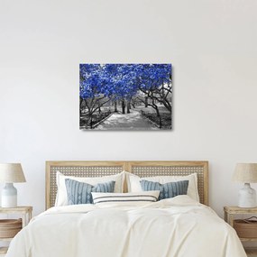 Obraz na szkle - Niebieskie drzewa, Central Park, New York (70x50 cm)