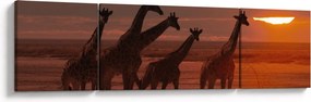 Obraz - Żyrafy na afrykańskiej sawannie (170x50 cm)