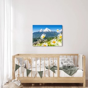 Obraz - Wiosna w Alpach (70x50 cm)