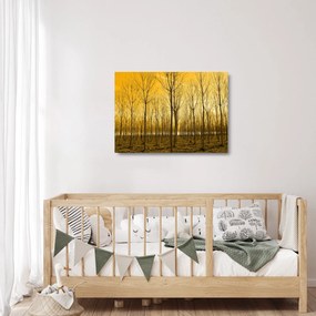 Obraz na szkle - las o zachodzie słońca (70x50 cm)