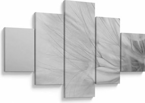 Obraz - Mniszek lekarski (125x70 cm)