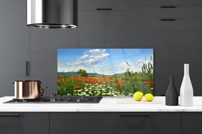 Panel Szklany Sielska Polana Kwiatowa