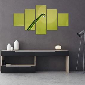 Obraz kropli wody na trawie (125x70 cm)