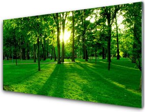 Szkło do Kuchni na Ścianę Parkowe Alejki W Słońcu