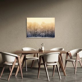 Obraz na szkle mroźnego lasu (70x50 cm)