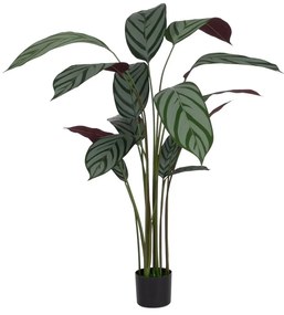 Sztuczna roślina (wysokość 150 cm) Calathea – Ixia