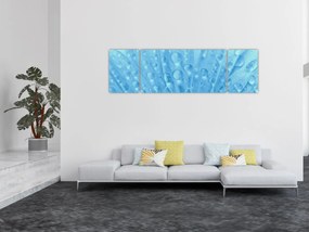 Obraz - Ujęcie makro kwiatu (170x50 cm)