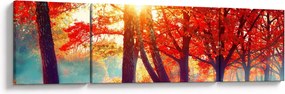 Obraz- Jesienny krajobraz (170x50 cm)