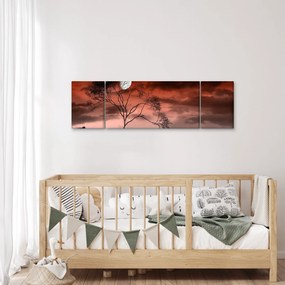 Obraz - Księżyc oświetlający noc (170x50 cm)
