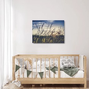 Obraz na szkle kwiatów łąkowych (70x50 cm)