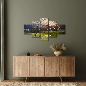 Obraz - Kwitnące drzewo w krajobrazie (125x70 cm)