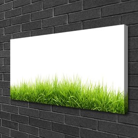 Zdjęcie na płótnie Naturalny Dywan Trawy