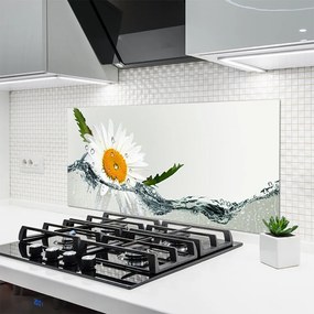 Panel Szklany Biała Stokrotka na Lustrze Wody