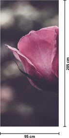 Fototapeta na drzwi - Detal kwiatu róży (95x205cm)