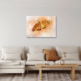 Obraz - Pomarańczowy motyl, akwarela (70x50 cm)