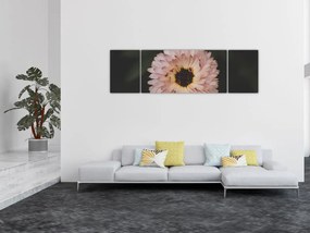 Obraz pomarańczowego kwiatu (170x50 cm)
