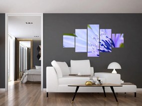 Obraz - Kwiat (125x70 cm)