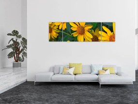 Obraz żółtych kwiatów (170x50 cm)