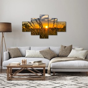 Obraz pola o zachodzie słońca (125x70 cm)