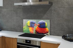 Panel Szklany Kolorowe papugi