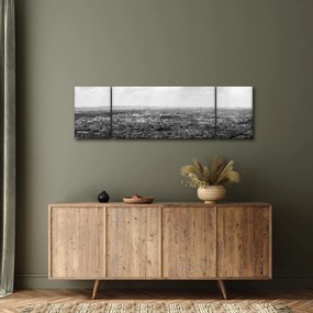 Obraz - Dachy domów w Paryżu (170x50 cm)