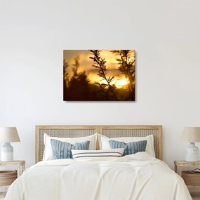 Obraz - słońce zachodzące za drzewami (70x50 cm)
