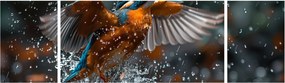 Obraz - Styczeń (170x50 cm)