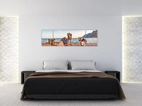 Obraz wielbłądów (170x50 cm)