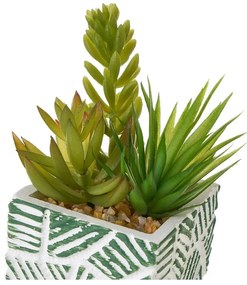 Sztuczne rośliny zestaw 3 szt. (wysokość 12 cm) Cactus – Casa Selección